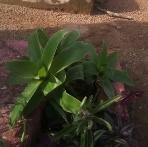 Meet your Posher, Jaret